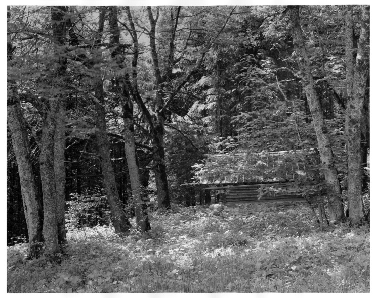 Log Cabin, Oberried, Allgaeu, Germany
