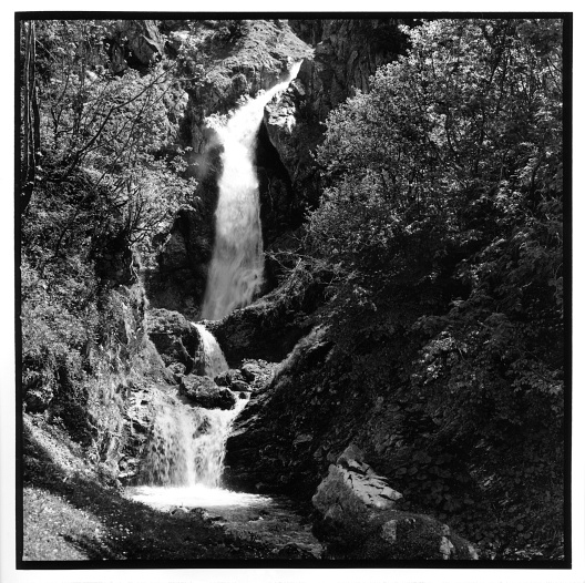 Baerguendele, Allgaeu, Germany