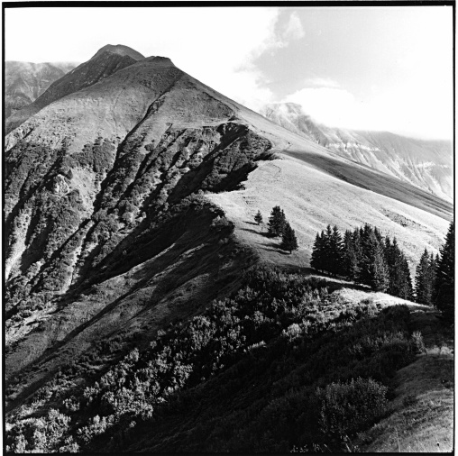 Bettlerruecken, Allgaeu, Germany