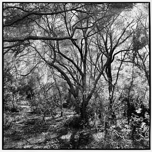 Stones, sand, Blacks Beach, CA