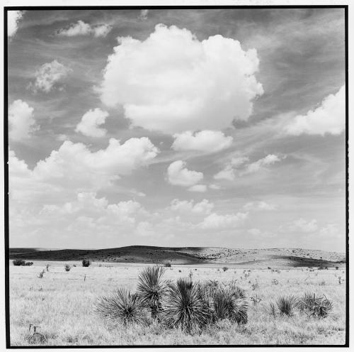 Noon clouds, Roswell, NM