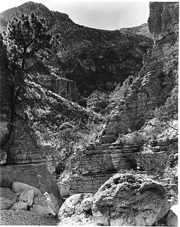 Devil's Hall trail, Guadalupe Mountains TX