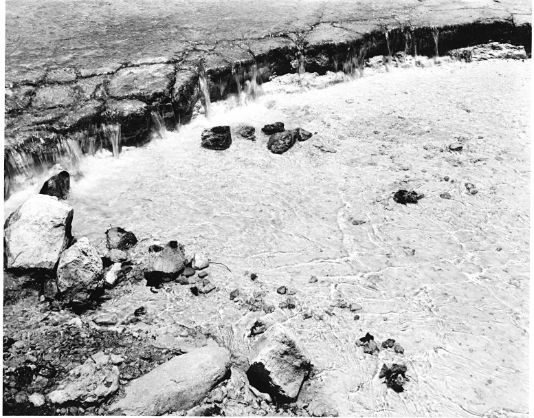 Creek, East trail, Lost Maples TX