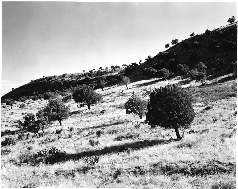 Tejas Trail, Guadalupe Mountains TX