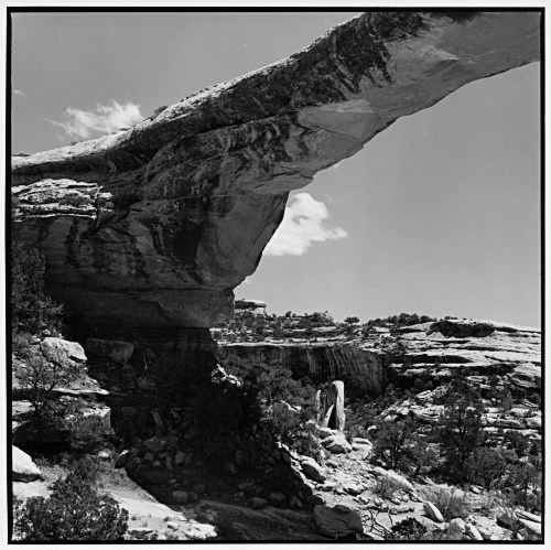 Natural bridge, Natural Bridges National Monument UT